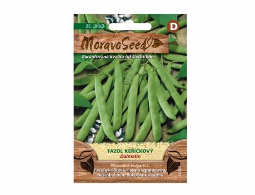Fazol keříčkový, zelený DALMATIN