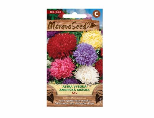Astra vysoká AMERICKÁ KRÁSKA - mix 
