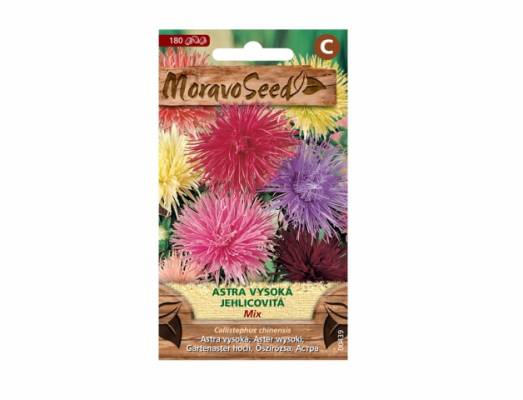 Astra vysoká jehlicovitá - mix