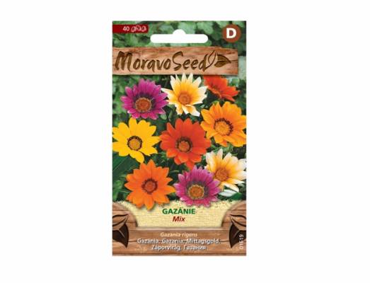 Gazánie zářivá, směs