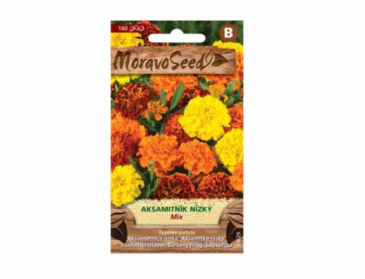 Aksamitník rozkladitý plnokvětý, směs