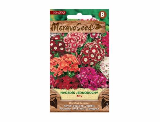 Hvozdík bradatý vysoký jednoduchý Mix