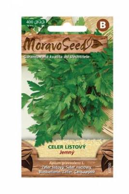 Celer listový jemný