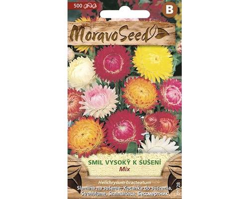 Smil listenatý vysoký k sušení, směs