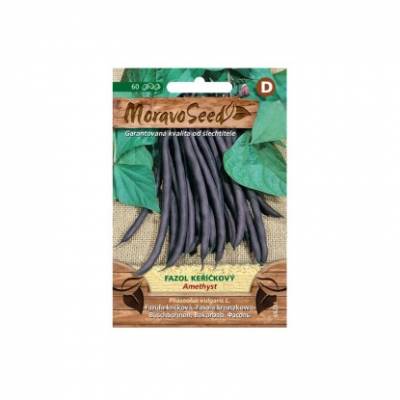 Fazol keříčkový AMETHYST fialový