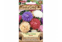 Astra čínská vysoká Bukett
