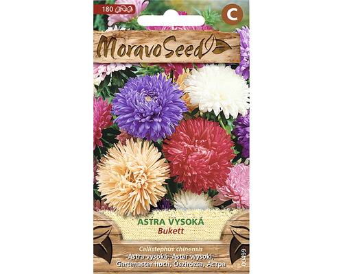 Astra čínská vysoká Bukett