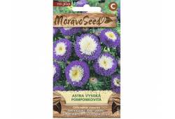 Astra čínská vyskoká pomponkkovitá, modro-bílá