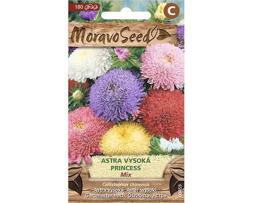 Astra čínská vysoká Princess směs 