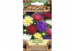 Astra čínská nízká jehlicovitá, směs