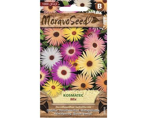 Kosmatec sedmikráskovitý, směs