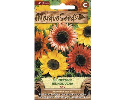 Slunečnice roční jednoduchá, směs