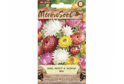 Smil listenatý nízký k sušení, směs