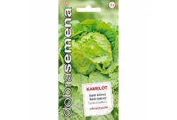Salát celoroční ledový-Kamelot 0,4g Dobrá semena