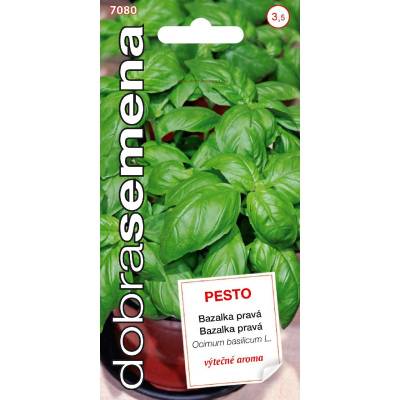 Bazalka pravá Pesto, typ Genovese 0,3g, Dobrá semena