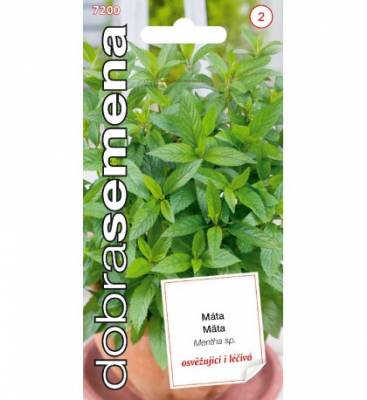 Máta 500 ks, Dobrá semena