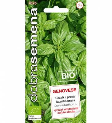 BIO bazalka pravá-Genovese 0,6g 