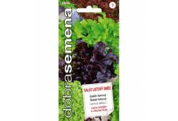 Salát listový směs 0,7g, Dobrá semena