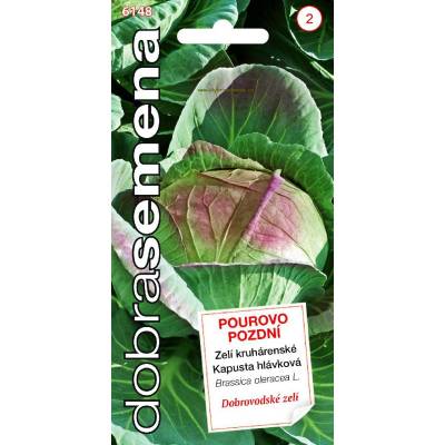 Zelí kruhárenské-Pourovo pozdní 0,8g, Dobrá semena