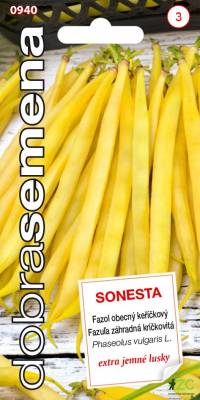Fazol keříčkový Sonesta 10g, Dobrá semena