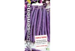 Fazol keříčkový Purple Teepee 10g, Dobrá semena