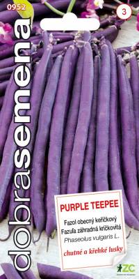 Fazol keříčkový Purple Teepee 10g, Dobrá semena