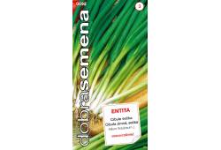 Cibule sečka Entita 1,8g, Dobrá semena