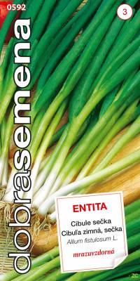 Cibule sečka Entita 1,8g, Dobrá semena