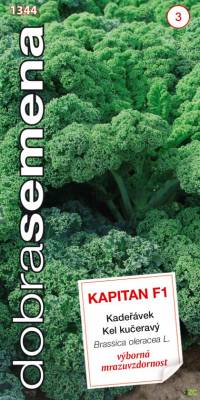 Kadeřávek Kapitan F1 30s, Dobrá semana