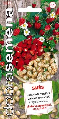 Jahoeník měsíční směs 0,15g, Dobrá semena