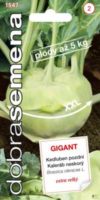 Kedluben bílý pozdní Gigant 0,8g, Dobrá semena