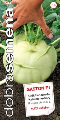 Kedluben bílý pozdní Gaston F1 40s, Dobrá semena