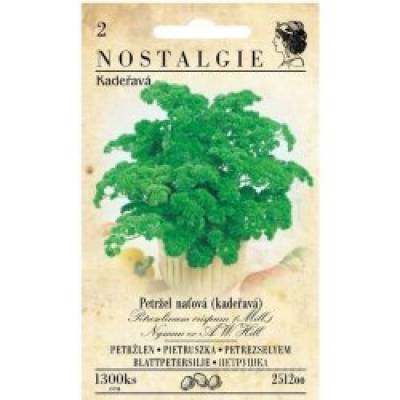 Petržel naťová KADEŘAVÁ