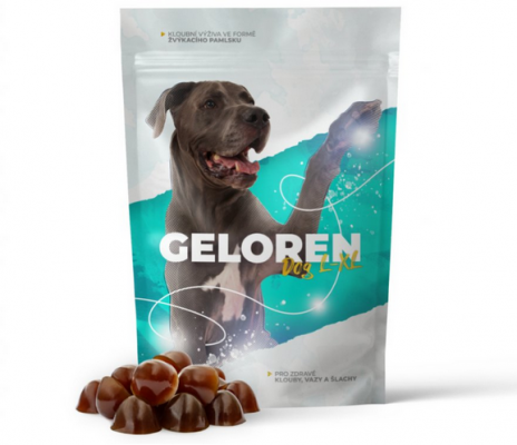 Geloren DOG L/XL 420 g (60ks)