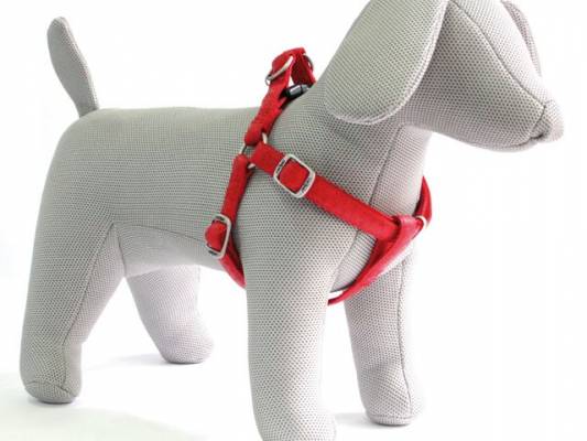 Postroj MYLORD 10x25-40 červený -9309C