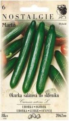 Okurka stálová do skleníku  F1