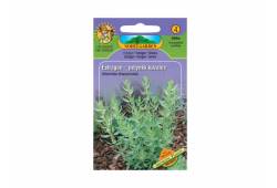 Estragon- pelyněk kozalec