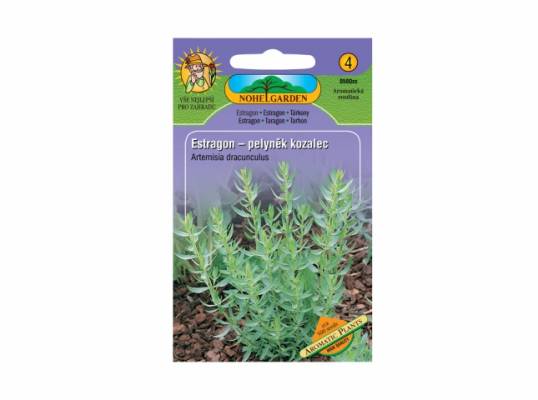 Estragon- pelyněk kozalec