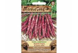 Fazol keříčkový Borlotto LINGUA DI FUOCO NANO MoravoSeed melírovaný