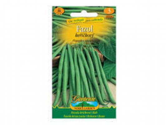 Fazol keříčkový zelený