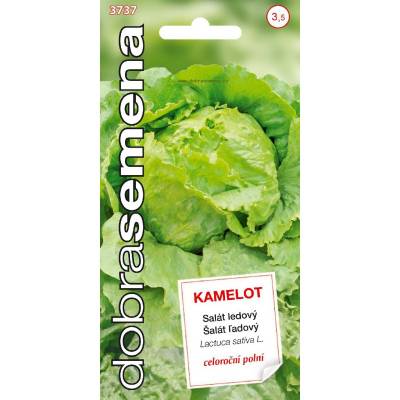 Salát celoroční ledový-Kamelot 0,4g Dobrá semena