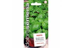 Bazalka pravá Pesto, typ Genovese 0,3g, Dobrá semena