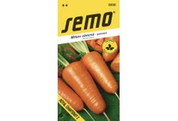 Mrkev poloraná Royal Chantenay 2, 3g