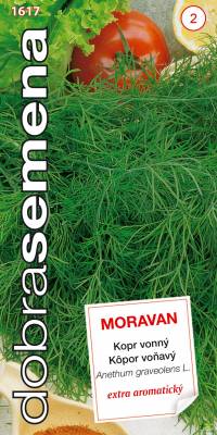 Kopr vonný Moravan 3g, Dobrá semena