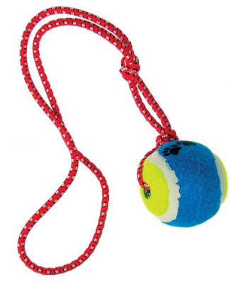 Hračka pro psy tenis míček na laně 6,5cm/58cm