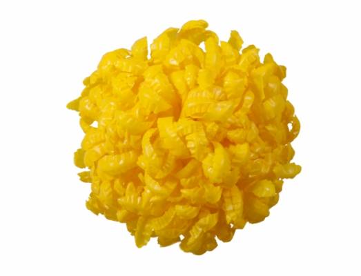 Chryzantéma 14cm žlutá
