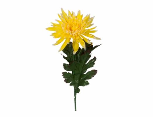 Chryzantéma KVĚT X2 58cm/žlutá